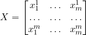 X=\begin{bmatrix}x^1_1 &\ldots &x^1_m\\ \ldots&\ldots&\ldots\\x^m_1 &\ldots &x^m_m\end{bmatrix}