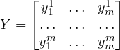 Y=\begin{bmatrix}y^1_1 &\ldots &y^1_m\\ \ldots&\ldots&\ldots\\y^m_1 &\ldots &y^m_m\end{bmatrix}