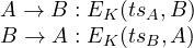 \begin{array}{l} A \rightarrow B: E_K(ts_A,B)\\B \rightarrow A: E_K(ts_B,A) \end{array}
